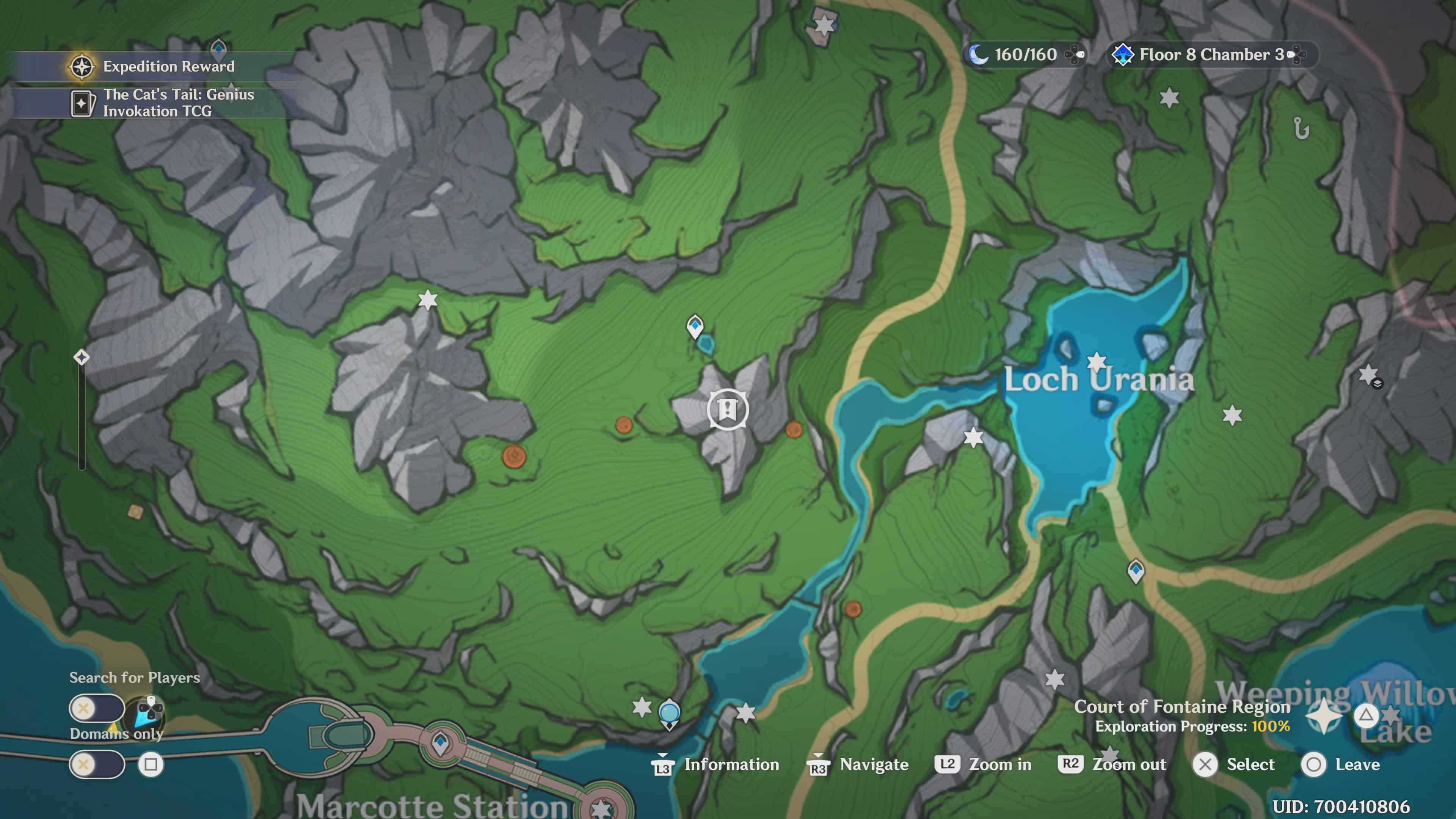 Map showing the first Foggy Forest Branch location in Genshin Impact.