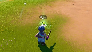 Shells in LEGO Fortnite