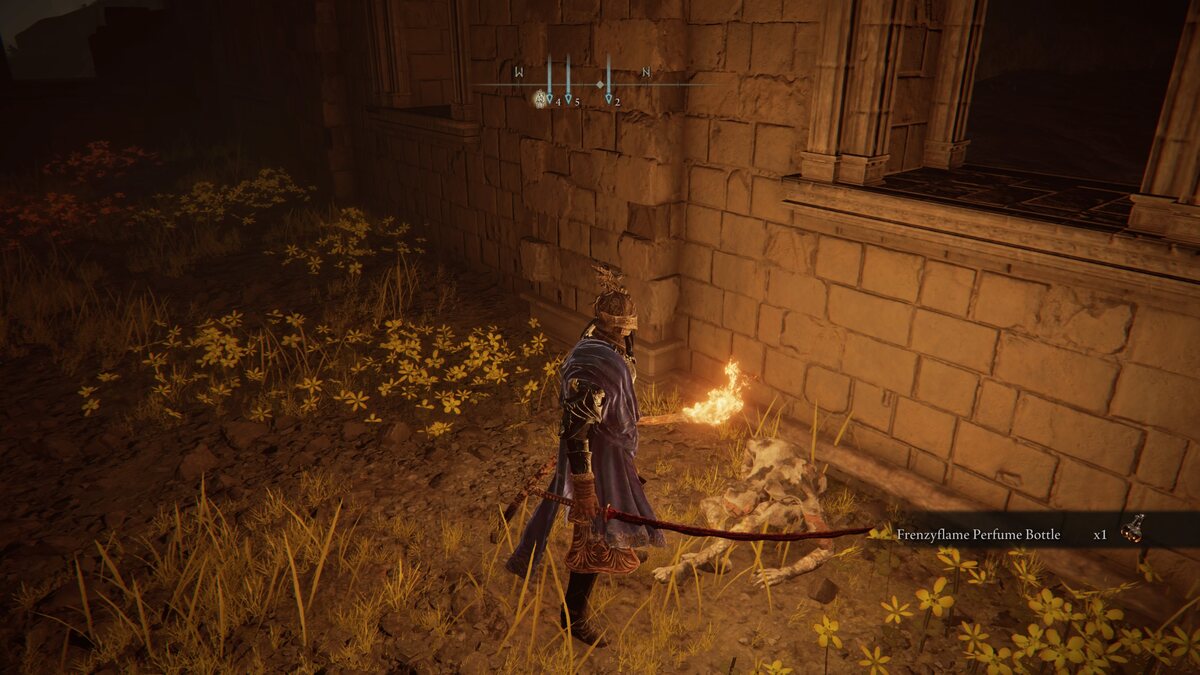 Elden Ring Shadow of the Erdtree weapons