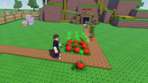 Image of the player setting up tomato towers to defend against a wave of enemies in Garden Tower Defense on Roblox.
