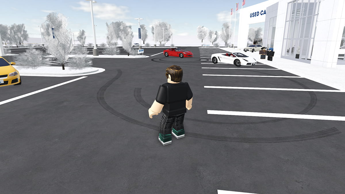 Image of the player on the street in the Roblox game Greenville.