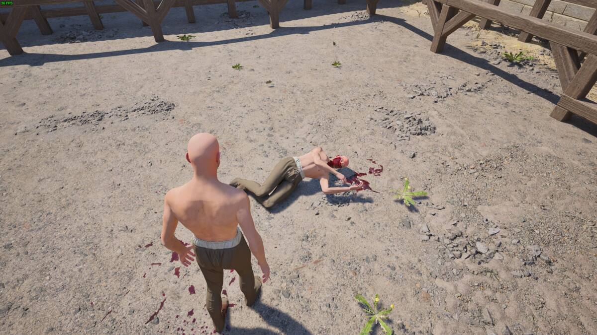 Half Sword first impressions: two peasants fighting in an arena.