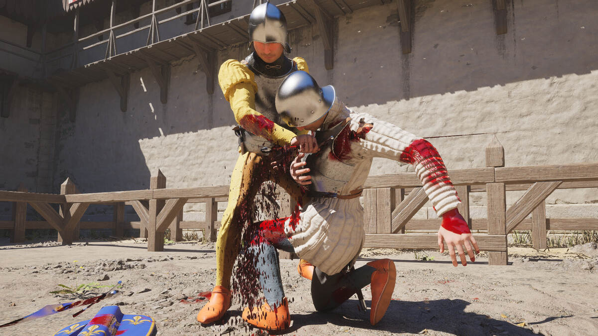 Half Sword: knights sword fighting.
