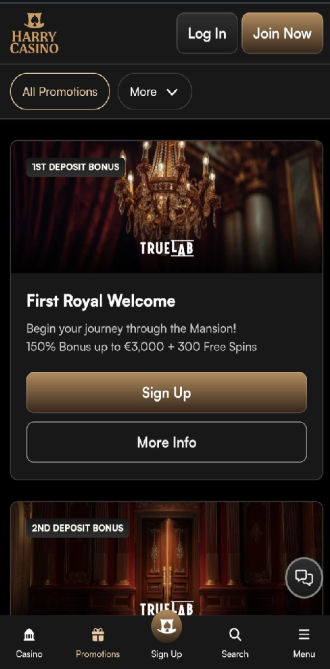 Harry Casino - snel uitbetalende casino via iDEAL en crypto