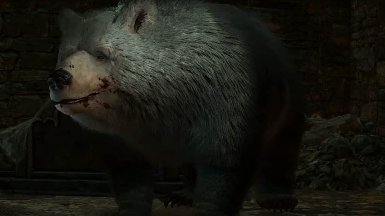 Where to find Halsin in Baldur’s Gate 3: Halsin in bear form, behind bars and with some blood around his mouth.