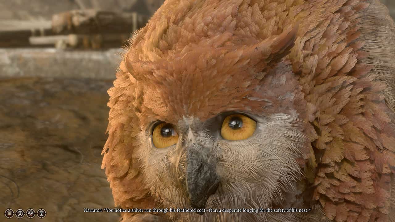 How to get the owlbear cub in Baldur’s Gate 3: The owlbear cub in the Goblin Camp, anxious to escape.