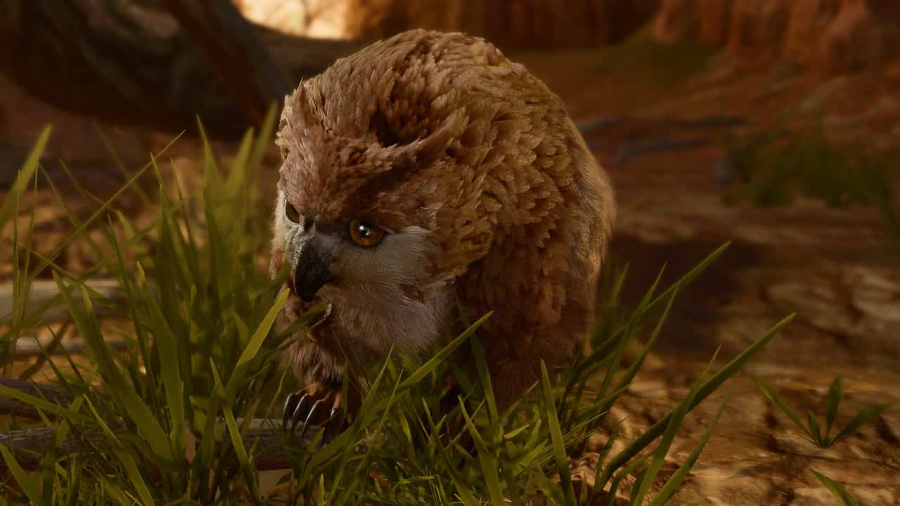 How to get the owlbear cub in Baldur’s Gate 3 and can you add him to your party?