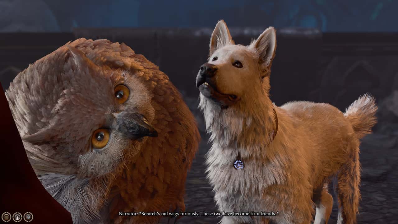 How to get the owlbear cub in Baldur’s Gate 3: The owlbear cub and Scratch the dog stand next to each other, having become friendds.