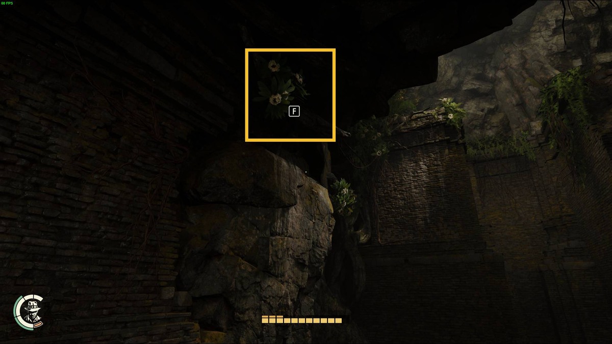 Indiana Jones and the Great Circle Demon's Tomb Puzzle: jungle chamber.