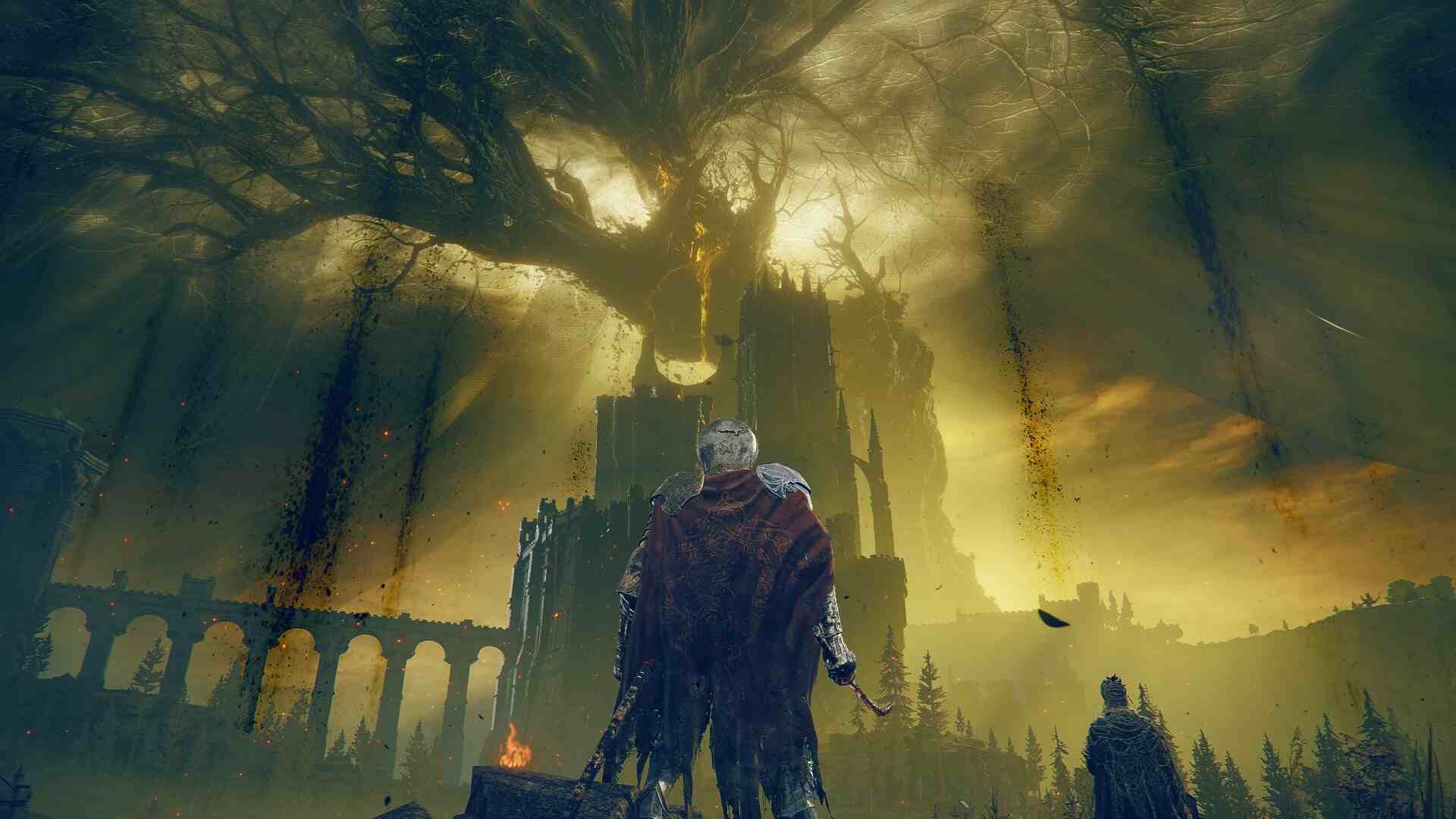 Is Melina in Shadow of the Erdtree: A player standing in front of the Erdtree in the Land of Shadow.