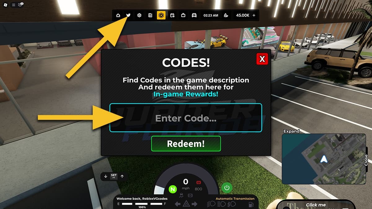 A yellow arrow points at the Bird icon at the top of the screen in Jupiter Florida. Another yellow arrow points at the text box where the player should enter codes.