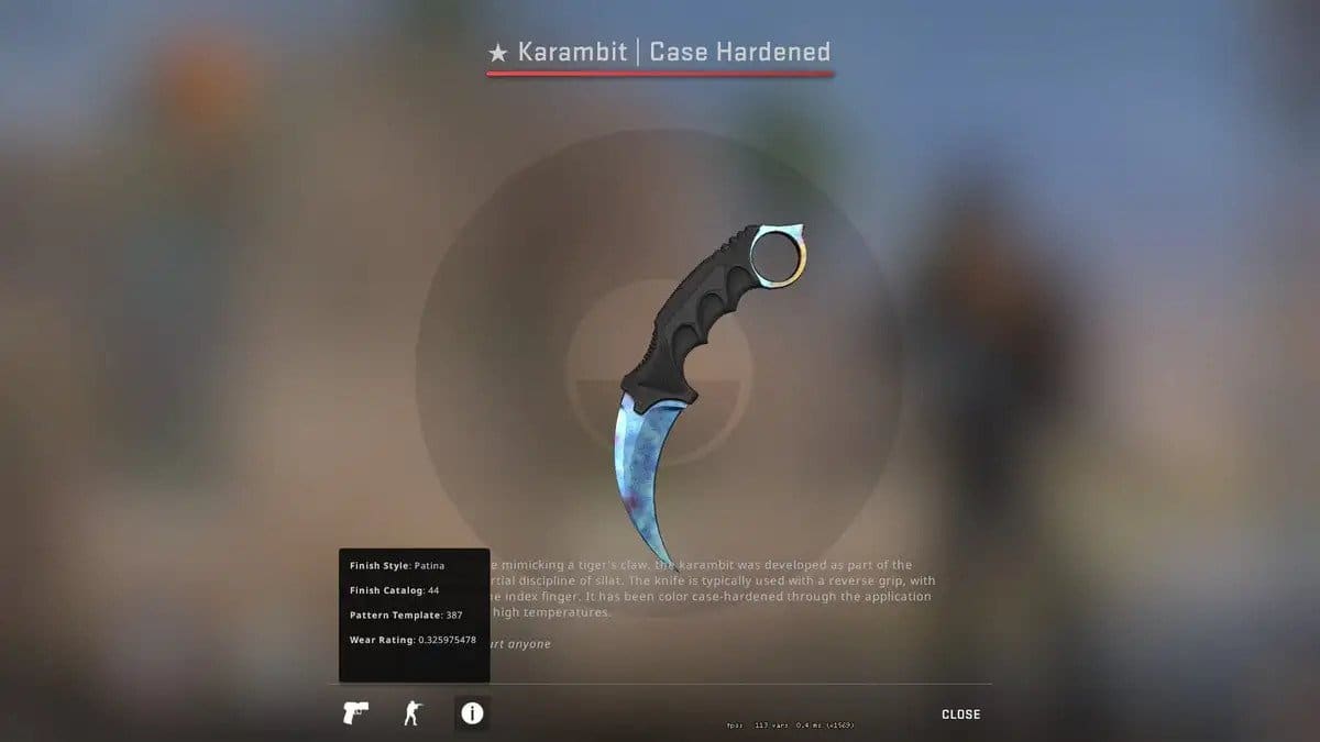 Most expensive CS2 skin - Karambit Blue gem