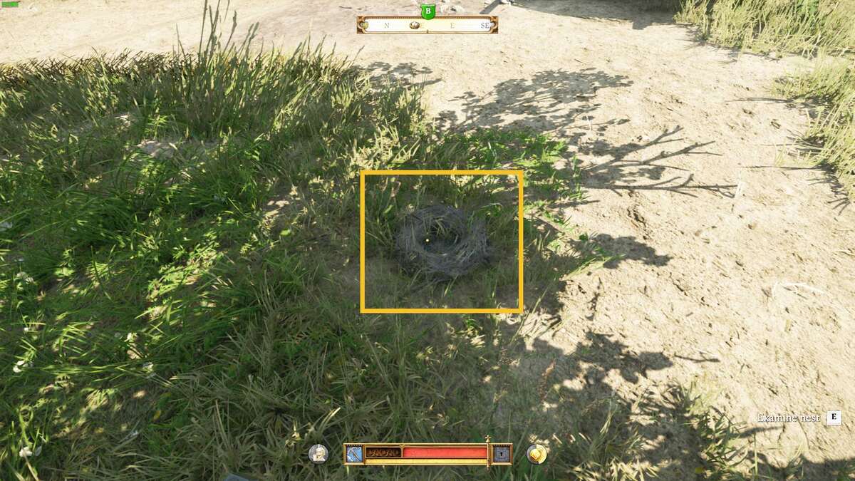 Kingdom Come Deliverance 2 All's Fair: nest.