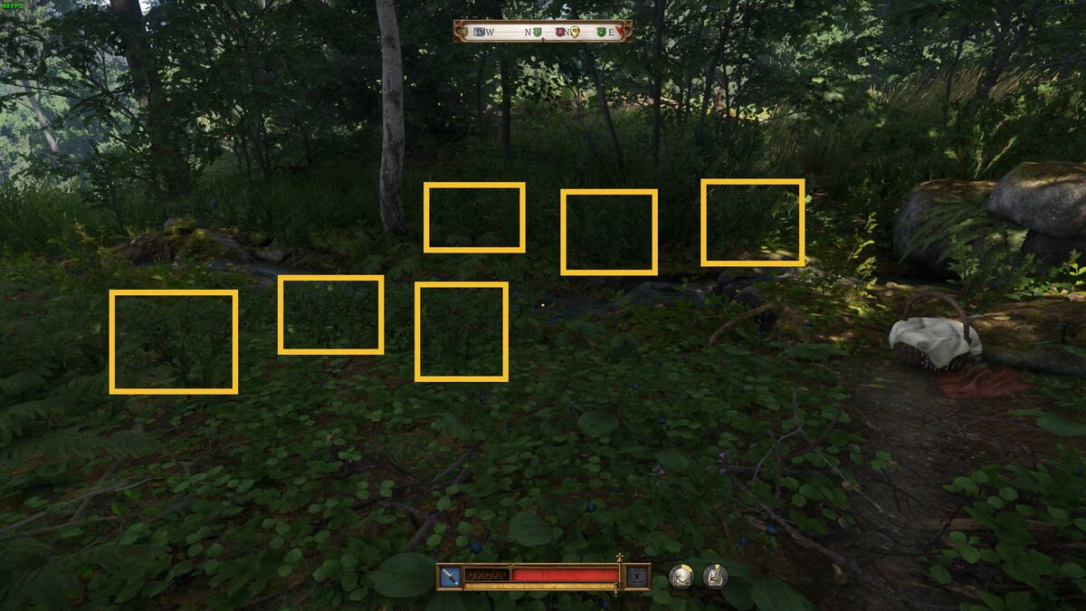 Kingdom Come Deliverance 2 Belladonna: Belladonna plant.