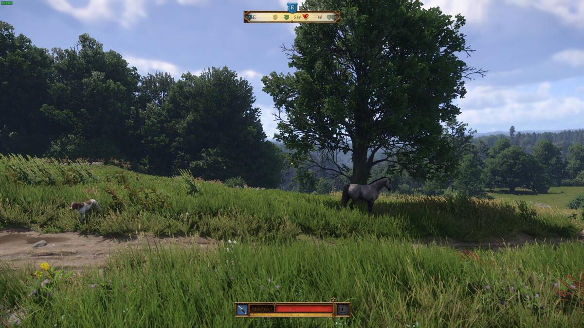 Kingdom Come Deliverance 2 border nail: pasture.