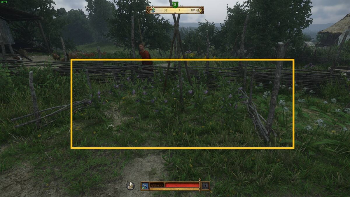Kingdom Come Deliverance 2 Comfrey: herb garden.