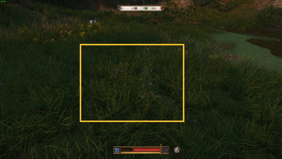 Kingdom Come Deliverance 2 Comfrey: Comfrey.
