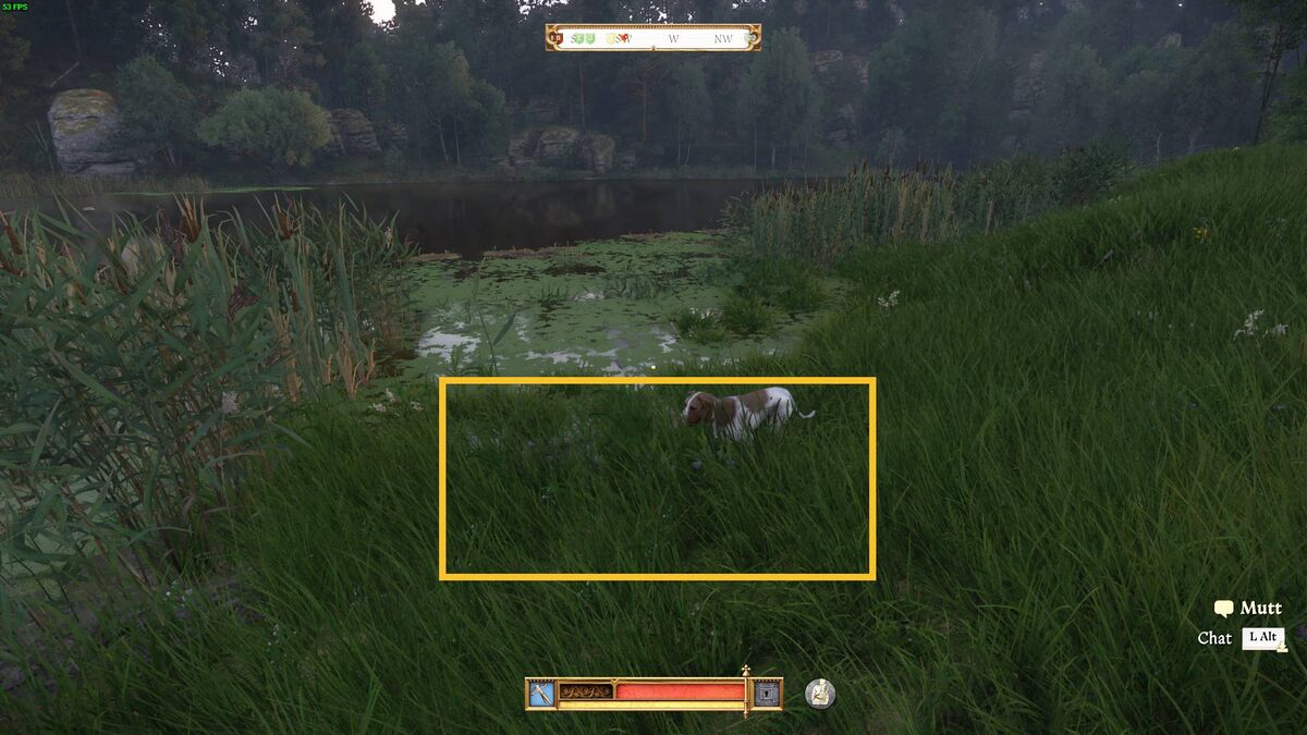 Kingdom Come Deliverance 2 Comfrey: Comfrey.