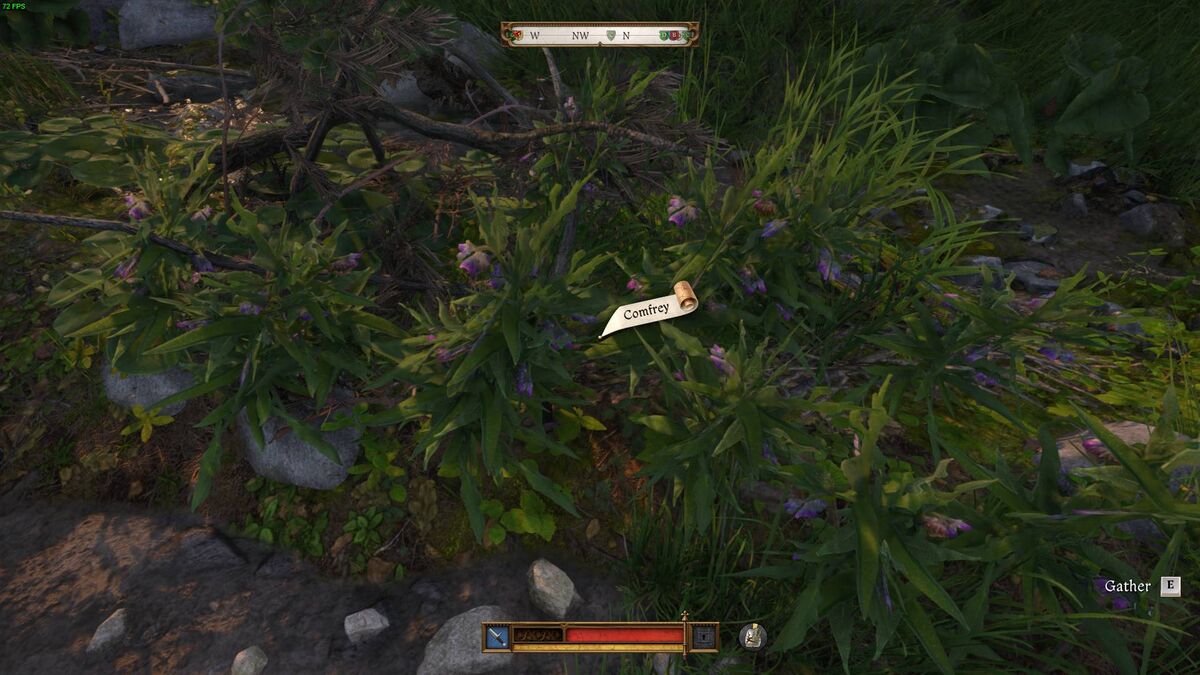 Kingdom Come Deliverance 2 Comfrey: Comfrey growing.