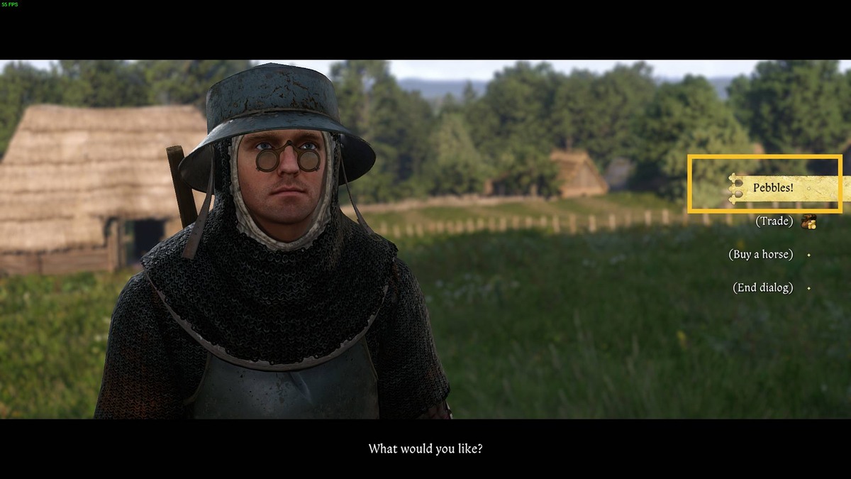 Kingdom Come Deliverance 2 horse: Henry.