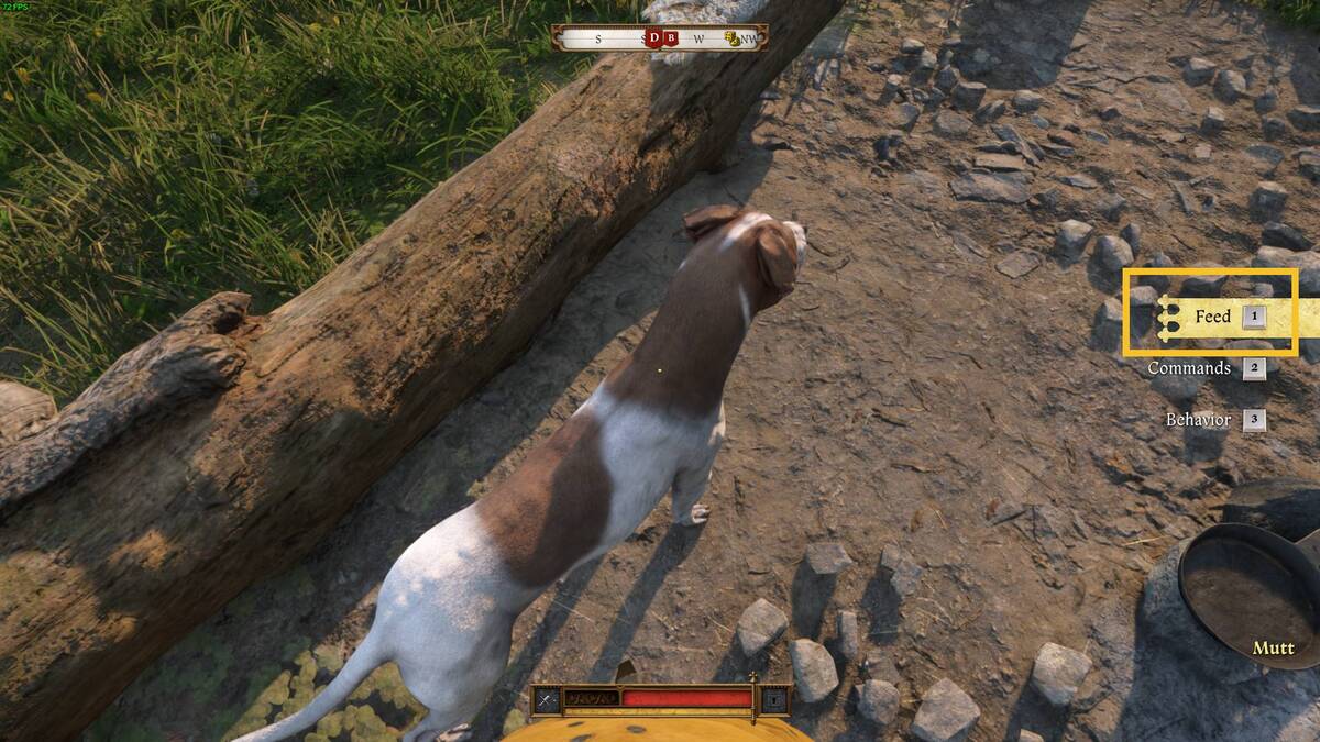 Kingdom Come Deliverance 2 Mutt: Mutt.
