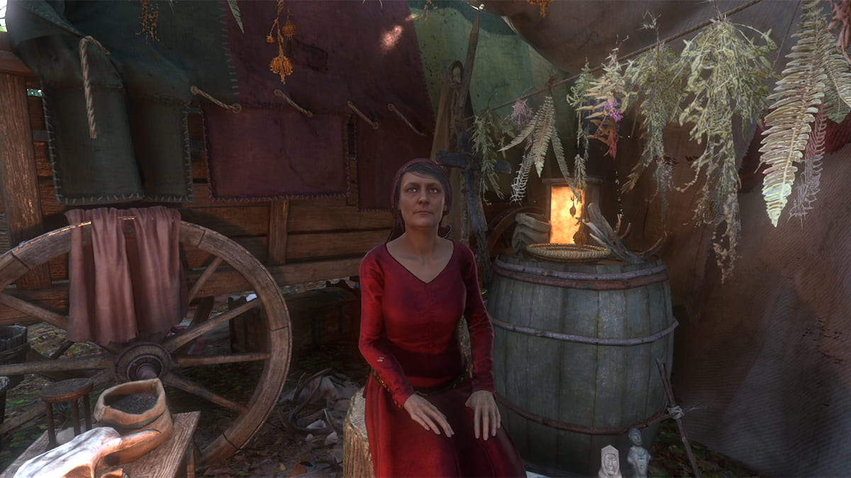 A close-up image of Aranka before the Voivode's Curse quest in Kingdom Come: Deliverance 2.