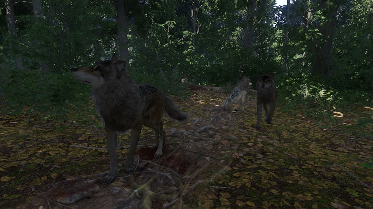 Image of a small pack of wolves in a forest in Kingdom Come: Deliverance 2.