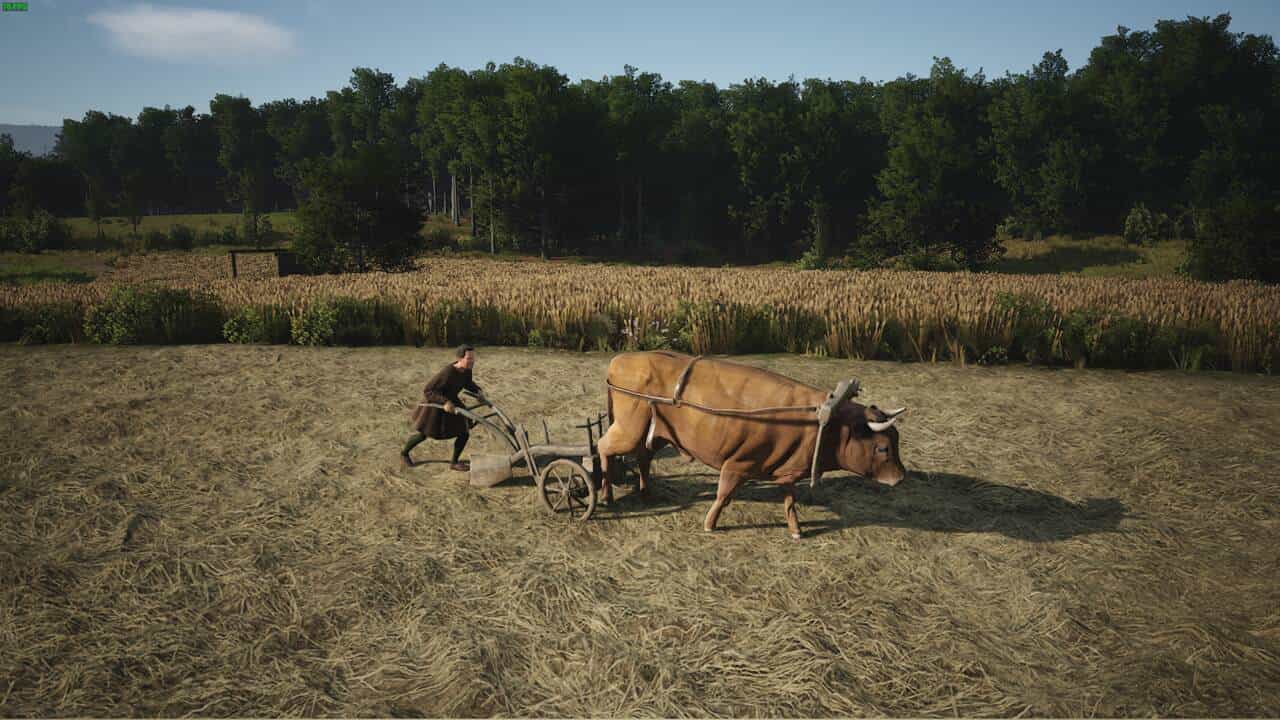 Manor Lords farming: oxen plowing a field in a medieval village.
