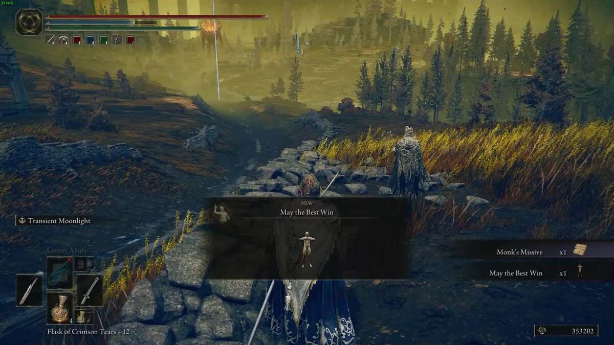 Elden Ring Shadow of the Erdtree martial arts: Tarnished in the realm of shadows.