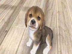 Pink 3DS with nintendogs + cats out November 18