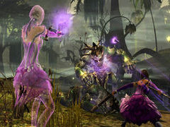 Guild Wars 2 player reaches level cap before game even launches