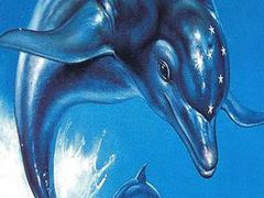 The next Ecco The Dolphin takes to Kickstarter