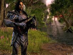 Elder Scrolls Online just as important as Skyrim – Bethesda