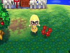 Nintendo to create a real Animal Crossing Town at Hyper Japan