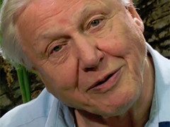 David Attenborough working on nature documentary for Oculus Rift