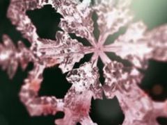 Is Sony teasing Until Dawn for Gamescom?