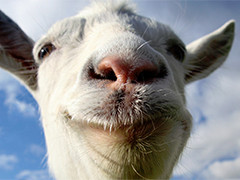 Microsoft announces ID@Xbox line-up at Gamescom