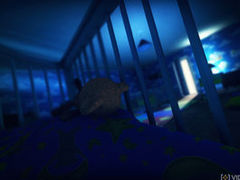 Child horror game Among the Sleep comes to PS4 on December 10
