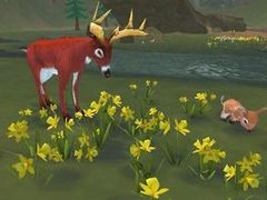 SimAnimals for Wii and DS
