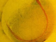 EA confirms Tennis video game franchise