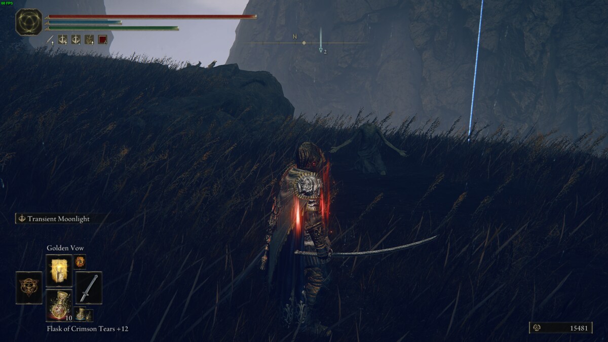 Elden Ring Shadow of the Erdtree Count Ymir: Tarnished in front of the Oh Mother gesture corpse.