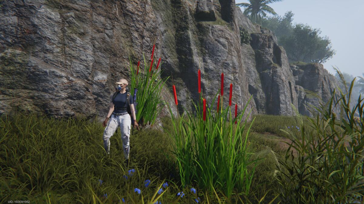 Once Human Scarlet Calamus: meta-human near red reed plants.