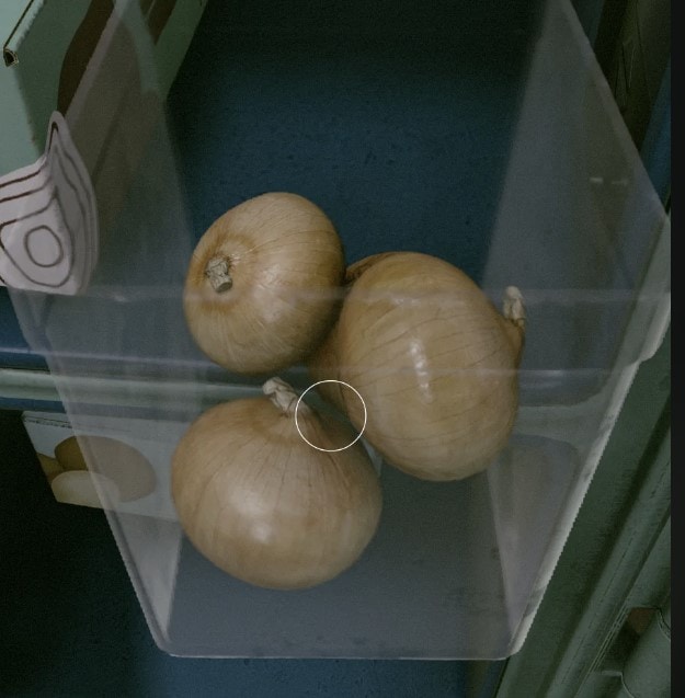 Forget space combat, just look at Starfield’s onions