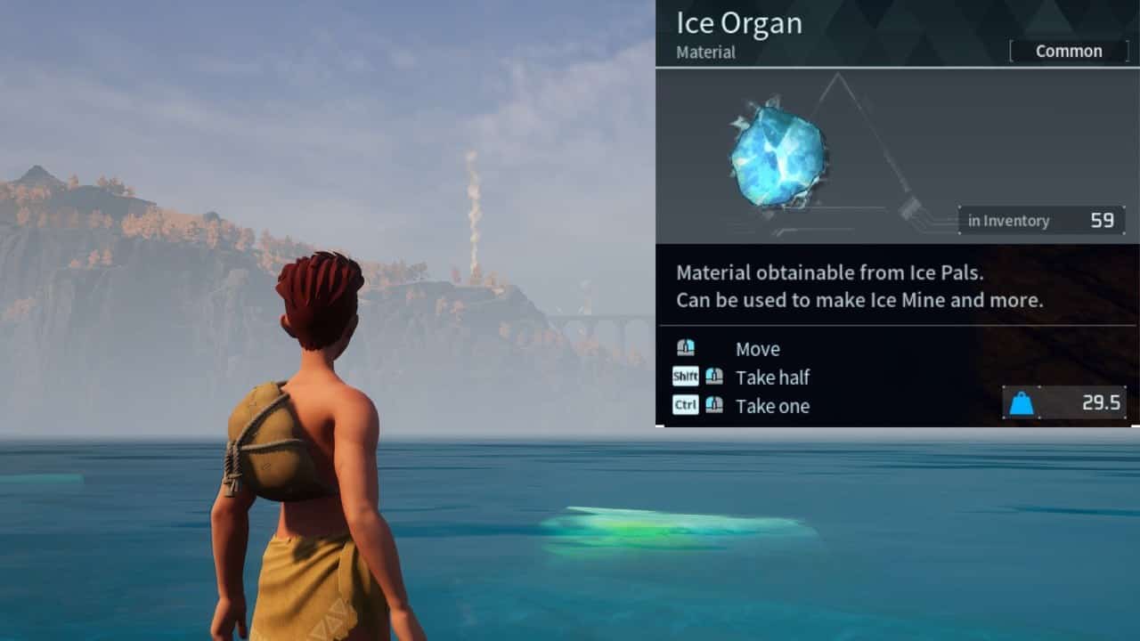 A Palworld player stands near the water after collecting Ice Organs
