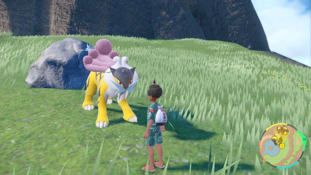 Pokemon Indigo Disk Raikou location: The player standing next to Raikou in a grassy field