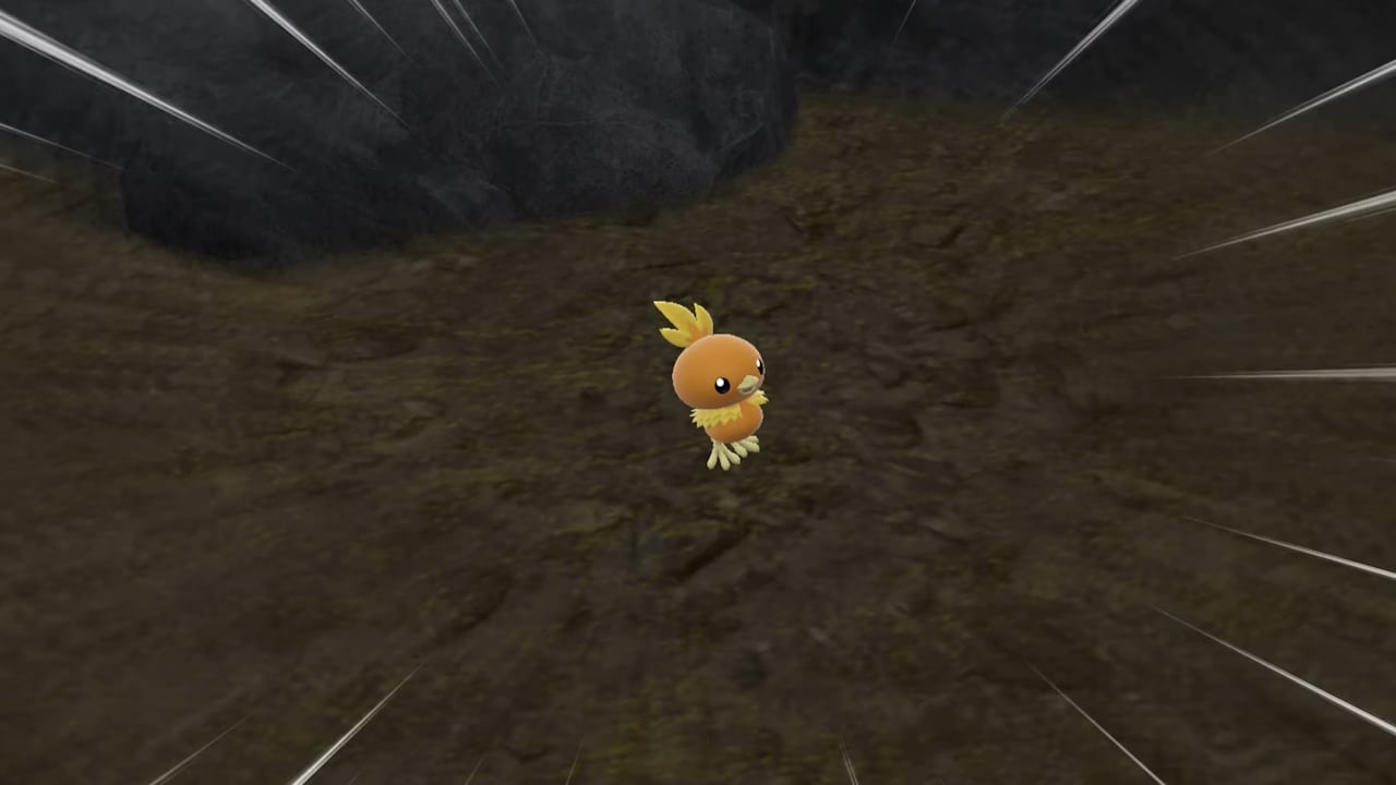Pokémon Indigo Disk Torchic location – how to catch and evolve Torchic