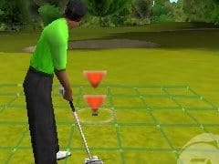 Tiger Woods PGA Tour Fact Sheet