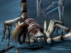 Deadly Creatures Interview