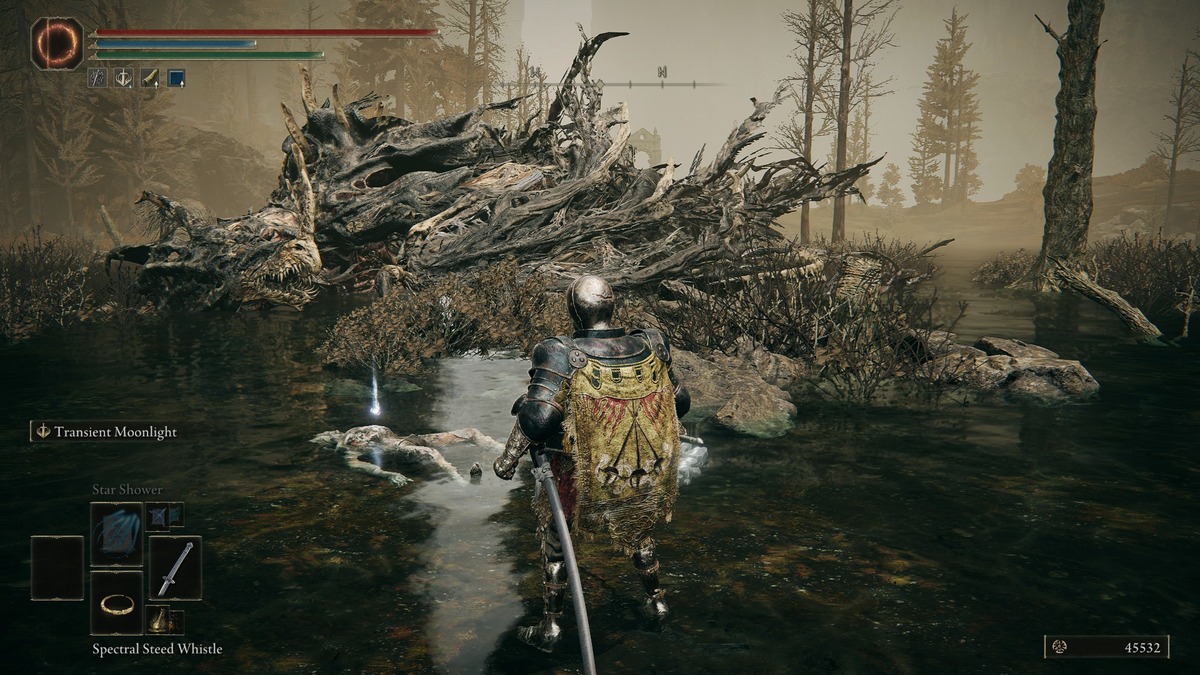 Shadow of the Erdtree Great Katana: A player standing next to a dragon with an item on the floor between them.