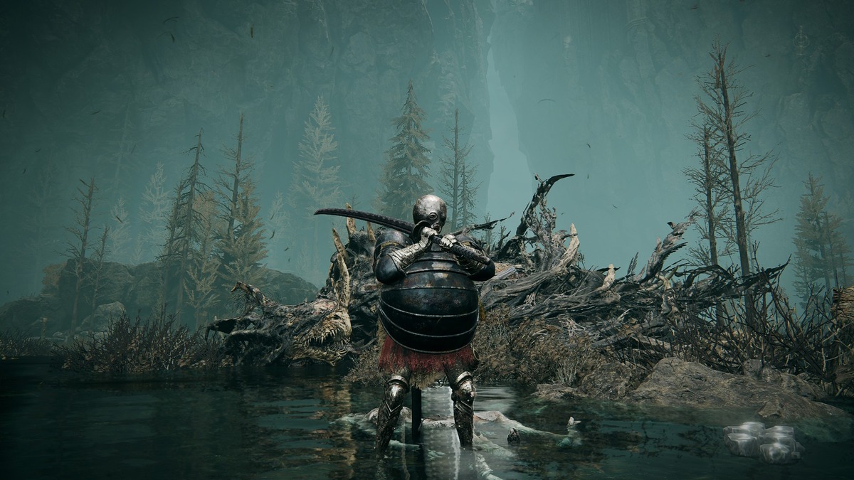 Shadow of the Erdtree Great Katana: A player wielding the Great Katana in front of a sleeping dragon.